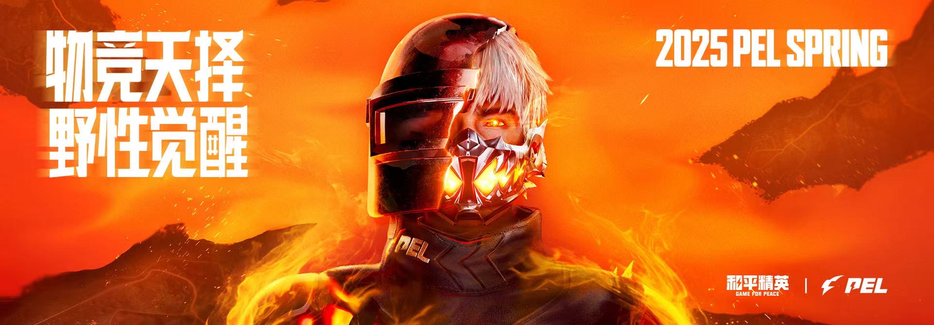 和平精英《向日葵》外挂